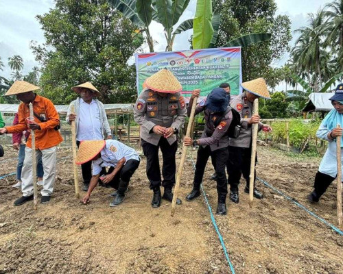 Dukung Ketahanan Pangan Nasional, Polres Buru Selatan, Gelar Penanaman Jagung Serentak