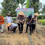 Dukung Ketahanan Pangan Nasional, Polres Buru Selatan, Gelar Penanaman Jagung Serentak