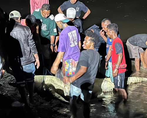 Warga Desa LurangTewas Diterkam Buaya, Toffy Imbau Masyarakat Tingkatkan Kewaspadaan