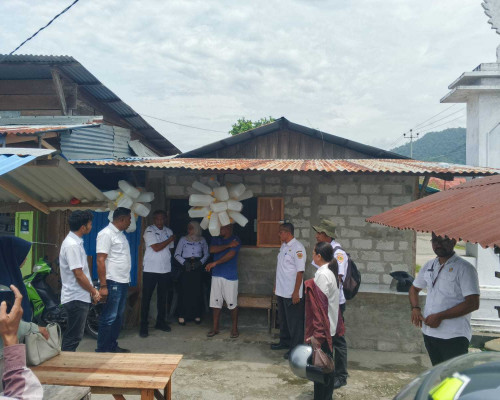 Mitan Langka di Namrole, Pemkab Duga Ada  Pihak yang Lakukan Penimbunan 