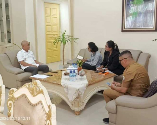 PLTS Dinilai Jadi Solusi Kelistrikan di Wilayah Kepulauan Aru