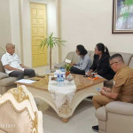 PLTS Dinilai Jadi Solusi Kelistrikan di Wilayah Kepulauan Aru