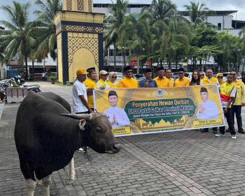 DPD Golkar Maluku Salurkan Hewan Qurban ke Masjid Al-Fatah